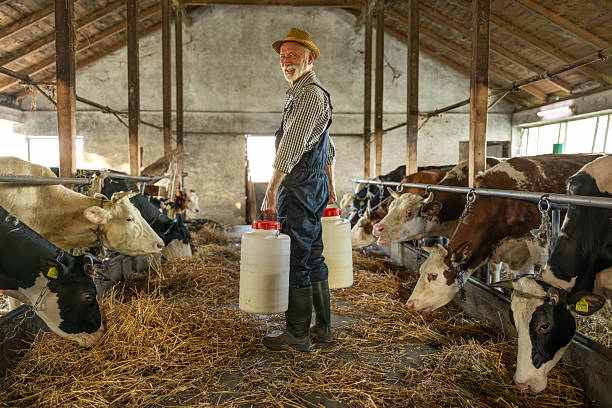 istock Farmer Smiling with Milk in Barn 2219662240