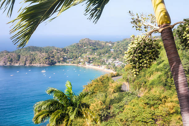 istock Castara Bay view from above. Trinidad and Tobago 2219662671