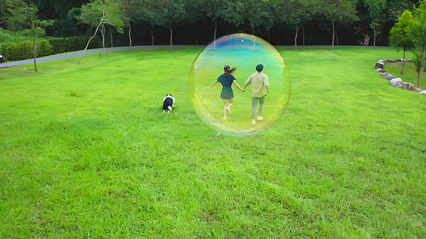high angle view asian young couple running with dog inside protective bubble in green park