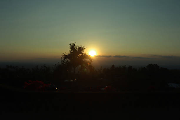 A striking silhouette of a palm tree captured at sunset, with the sun setting just behind its trunk. The warm glow on the horizon contrasts with the deep blue of the sky, creating a serene and tropical evening atmosphere. Perfect for themes of nature, relaxation, tropical travel, and dramatic landscapes.