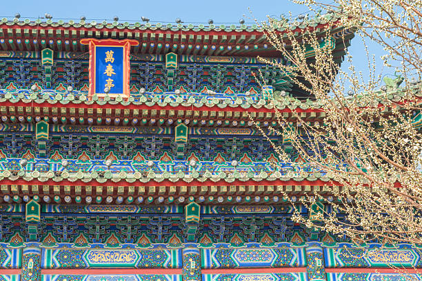 Blooming apricot tree in front of the Pavilion of Everlasting Spring (Wan Chun Ting) on top of the Jingshan Hill (or Prospect Hill) of the Jingshan Park in Beijing just north of the Forbidden City.