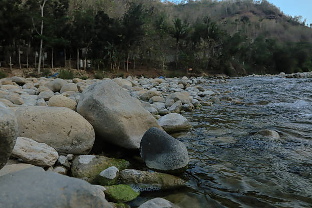 A collection of smooth natural stones scattered along the shallow edge of a flowing river. The water flows gently over the rocks, creating a peaceful and organic landscape. Ideal for themes of nature, geology, riverbank textures, and environmental elements.