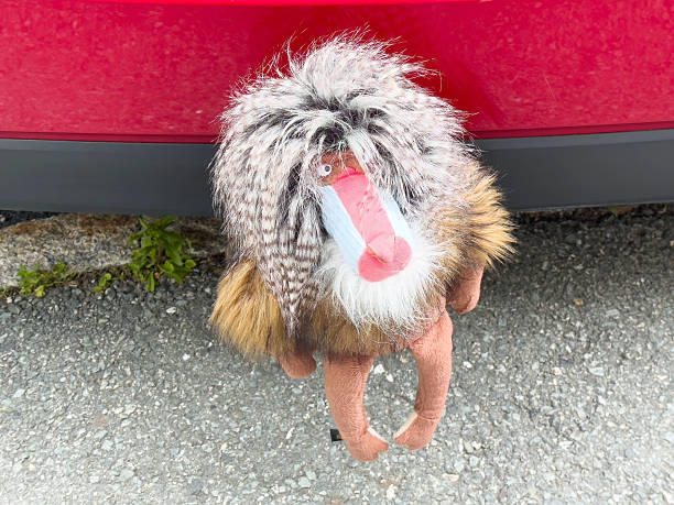 Colorful baboon plush toy hanging from red car bumper on asphalt
