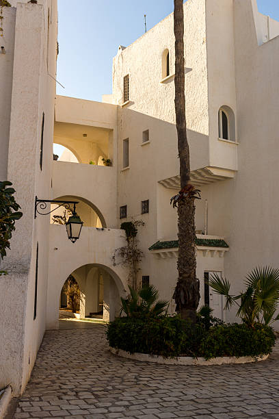 istock An outdoor courtyard with white buildings, arches, and a central tree. 2219670425
