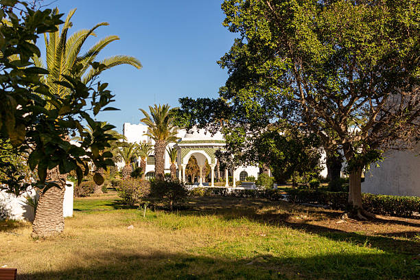 istock A sunny garden landscape features lush greenery and a white arched structure 2219670490