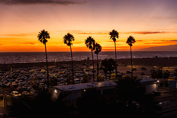 A stunning view of Santa Monica Beach during twilight, with silhouetted palm trees, a glowing sunset sky fading into purple tones, and a busy coastal parking lot beneath. Capturing the quintessential California atmosphere in the golden-to-blue hour transition.