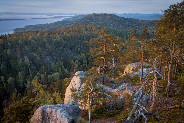 Landscape from Koli National Park in summer.