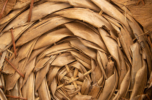 Natural Woven Dried Palm Leaf Texture in Spiral Pattern close up