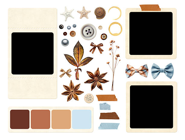 istock Kit of vintage elements for scrapbooking. Nostalgic sentimental assortment: retro photo, linen bow, dry pressed flower, button, shell, starfish, star anise, swatch color strip. Set isolated on white 2219673322