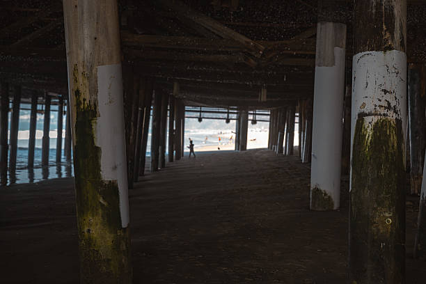 A moody, almost abstract view beneath the Santa Monica Pier. Dozens of pier pillars create a symmetrical forest-like visual in deep shadow, while faint light and ocean reflections offer contrast in the distance. Captures the mystique and architectural density under a California coastal landmark, perfect for conceptual or atmospheric themes.