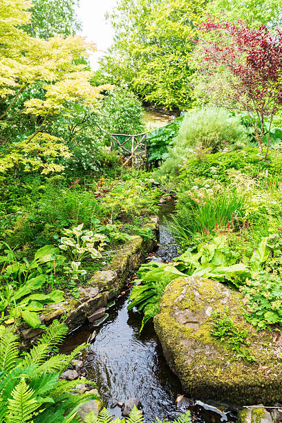 istock Small stream flowing through lush green vegetation in the Scottish Highlands 2219676093