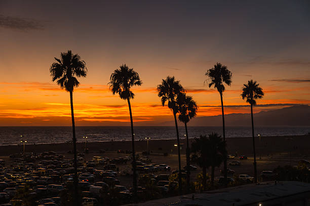 A stunning view of Santa Monica Beach during twilight, with silhouetted palm trees, a glowing sunset sky fading into purple tones, and a busy coastal parking lot beneath. Capturing the quintessential California atmosphere in the golden-to-blue hour transition.