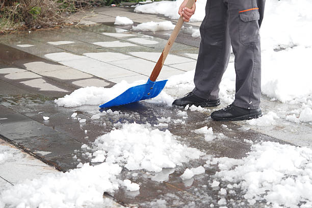 istock Shoveling snow from a walkway during winter cleanup 2219676242