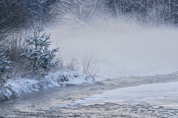 Cold winter river, steam visible above water, dark trees on side