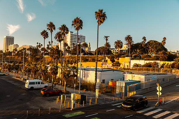 istock Golden Palms and Coastal Skyscrapers at Dusk 2219678606