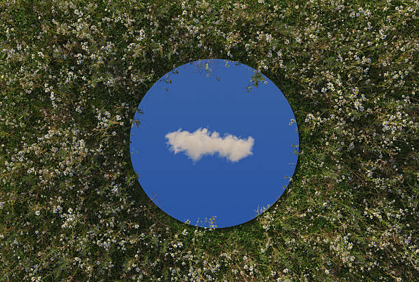 istock 3D Rendering of circular mirror reflecting single white cloud and surrounded by meadow flowers. Flat lay of nature style concept 2219678821