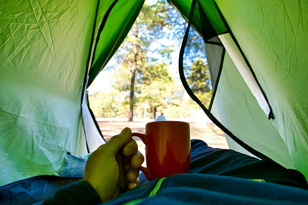 istock Relaxing inside a tent in the forest 2219682167
