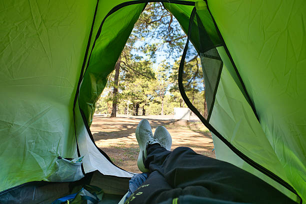 istock Relaxing inside a tent in the forest 2219682176