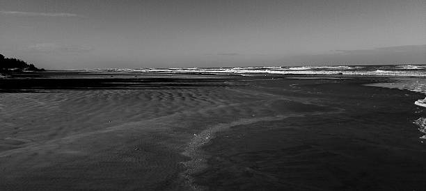 istock black and white beach photography 2219682688