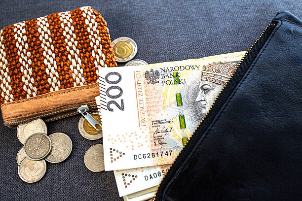 istock Polish Zloty Banknotes and Coins 2219683604