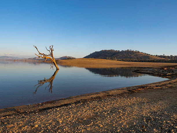 istock Sunlight and reflection of tree in lake 2219684246