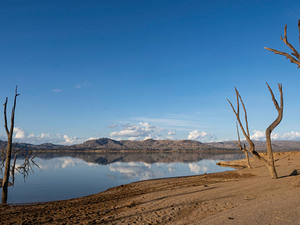 istock Sunlight and reflection of tree in lake 2219684378