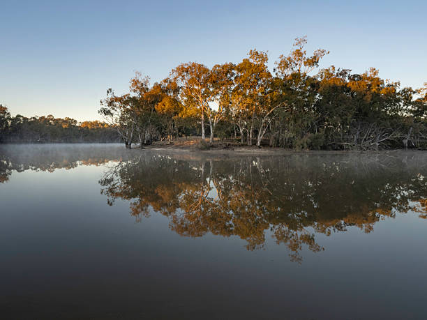 istock Morning light on trees and a foggy reflection lake 2219684688