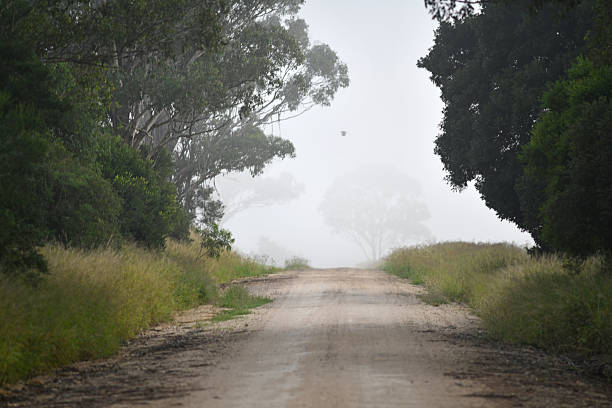 Misty morning on a farm road in rural Queensland, Australia