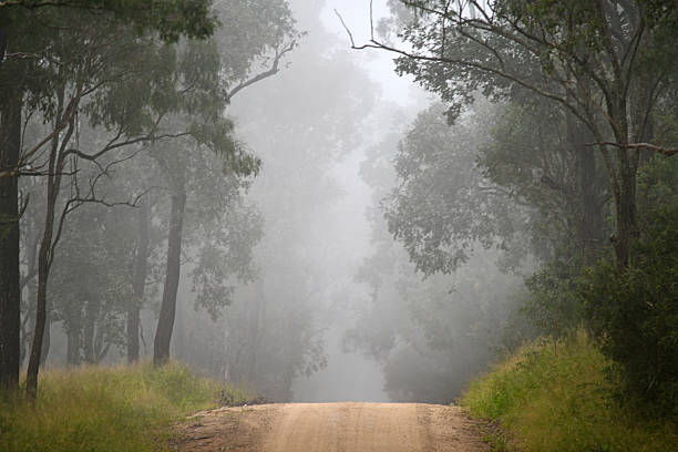 istock misty morning on a farm road 2219688994
