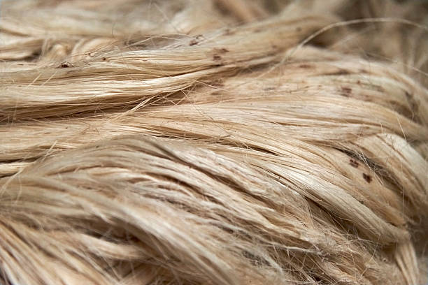 istock Fique fiber, a vegetable material used in the production of different objects. 2219692244