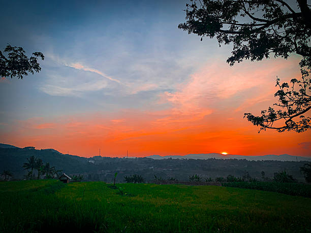 istock Dramatic Orange Sunrise over Paddy Field in Countryside Landscape 2219695590