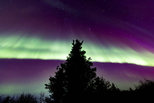 istock The Northern Lights or Aurora Borealis 2219695929