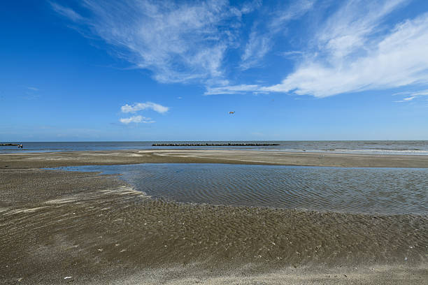 istock Louisiana Gulf Coast 2219699630