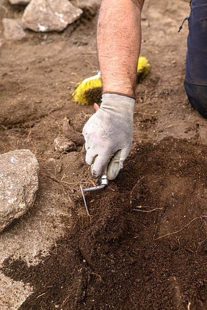 istock The Meticulous Work of Science Excavating the Past with Precision Tools 2219699979