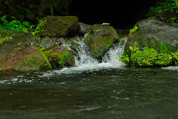 A serene long-exposure photograph capturing the ethereal beauty of Las Nubes Waterfalls (Cascada de las Nubes) in Chiapas, Mexico. The flowing water transforms into smooth, milky cascades tumbling over moss-covered rocks, surrounded by lush green tropical rainforest. This image highlights the natural power and tranquility of one of Chiapas' most stunning eco-tourism destinations.