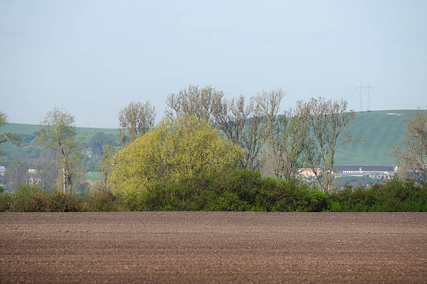 A wide-angle view of a freshly plowed agricultural field bordered by a line of green shrubs and early spring trees. In the background, a small village with scattered buildings sits at the base of rolling hills under a pale blue sky. The scene evokes rural calm and seasonal transition.
