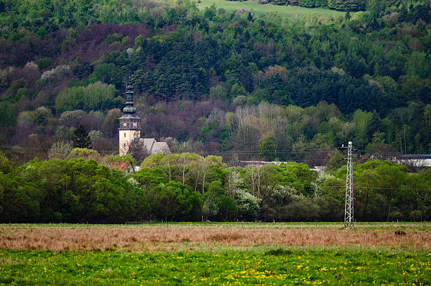 A tall church tower with a dark spire rises above a dense cluster of trees in a small rural village. In the foreground, a spring meadow with patches of yellow flowers contrasts with the layered green forest covering the hillside behind.