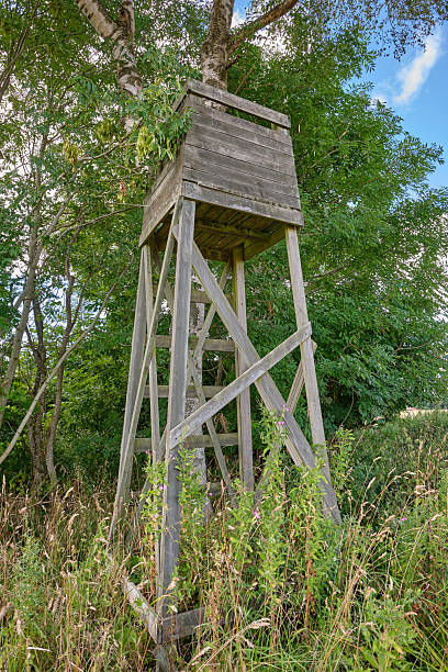 An old wooden observation tower stands within lush natural surroundings in Denmark, epitomizing serene, rustic ambiance. This charming structure among green foliage captures the tranquil beauty of nature.