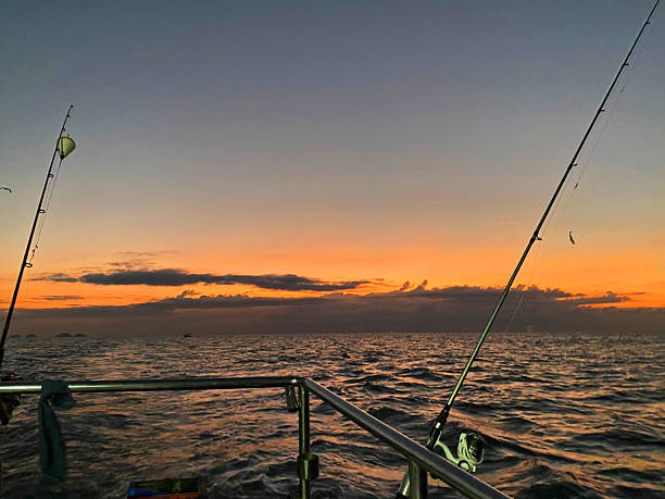 istock Deep sea fishing 2219713502