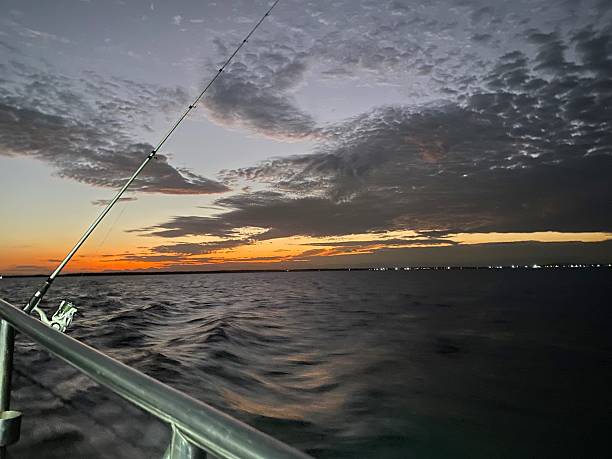 istock Deep sea fishing 2219713513