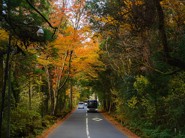 Bus on a scenic road through the forest in Hakone, Japan  in autumn
