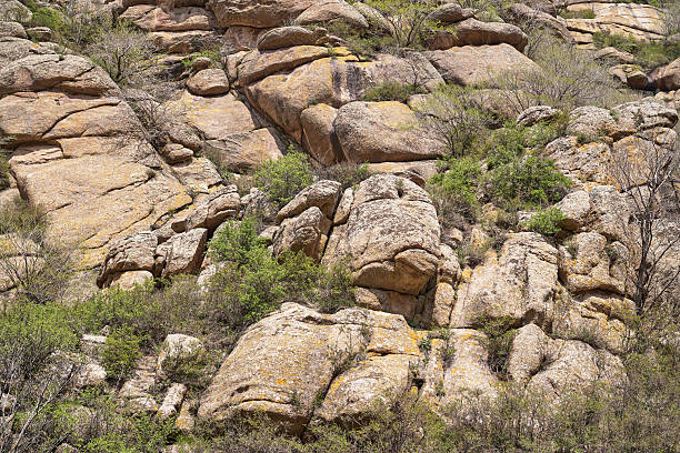 Rocky Outcrop with Sparse Vegetation in a Desert Landscape