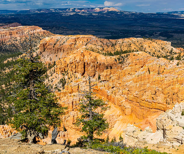 istock Hoodoos of Bryce Amphitheater From Bryce Point 2219720720