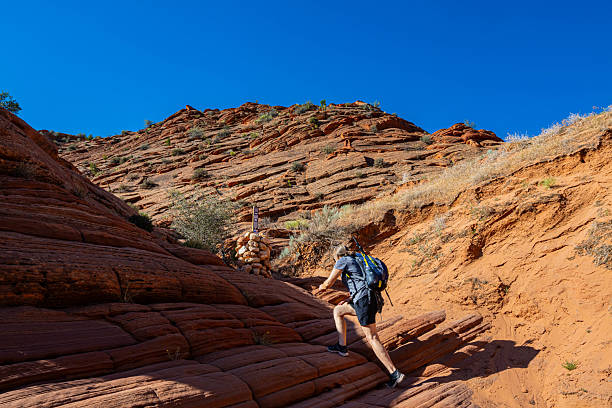 istock Female Hiker Beside Petrified Sand Dunes on The Wire Pass Trail 2219720743