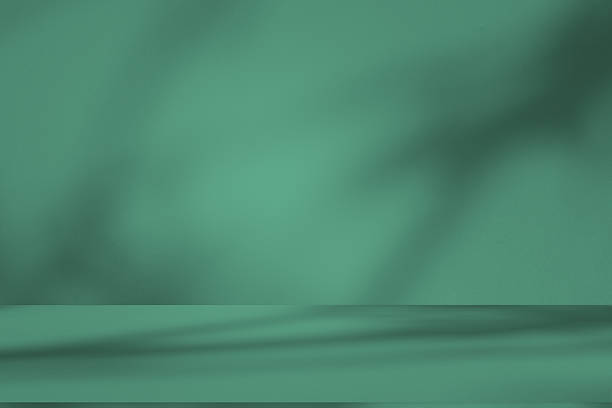 istock Studio style background wall decoration presentation uses white and green tones. with shadows cast from a nearby window, concept creating a decorative 2219722173