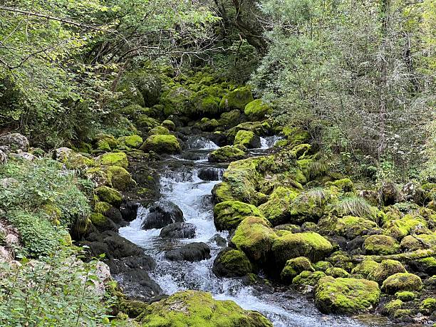 istock Source Glijun or the source of the stream Gljun (Bovec, Slovenia) - Die Quelle des Baches Glijun oder die Quelle Gljun (Bovec, Slowenien) - Izvir Glijuna or Izvor Gljuna (Slovenija) 2219725619