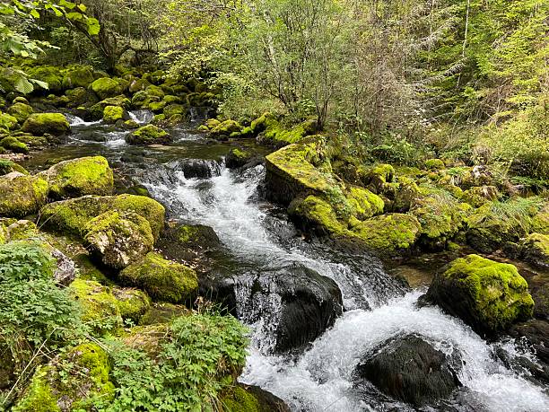 istock Source Glijun or the source of the stream Gljun (Bovec, Slovenia) - Die Quelle des Baches Glijun oder die Quelle Gljun (Bovec, Slowenien) - Izvir Glijuna or Izvor Gljuna (Slovenija) 2219725621