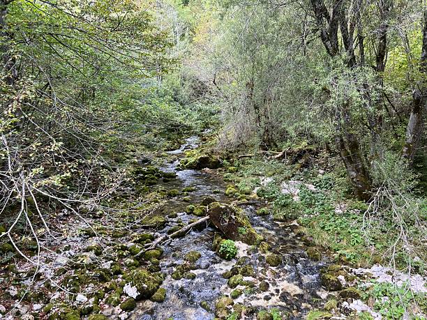 istock Source Glijun or the source of the stream Gljun (Bovec, Slovenia) - Die Quelle des Baches Glijun oder die Quelle Gljun (Bovec, Slowenien) - Izvir Glijuna or Izvor Gljuna (Slovenija) 2219725660