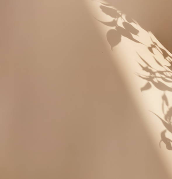 istock Abstract natural leaves shadows  background on beige color texture . copy space. 2219727949