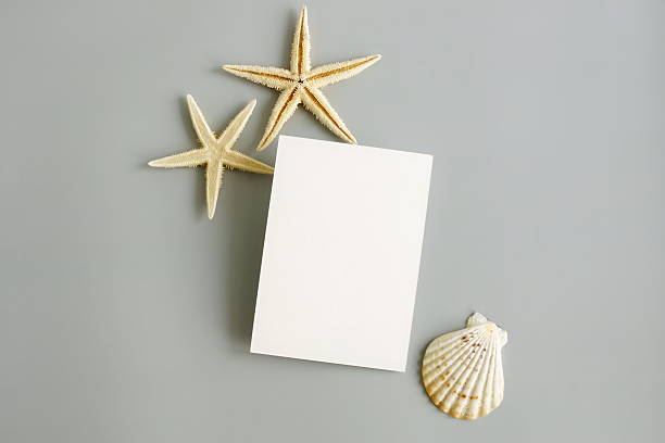 istock Empty paper blank card mockup, seashell, stars frame top view on grey background. 2219728161
